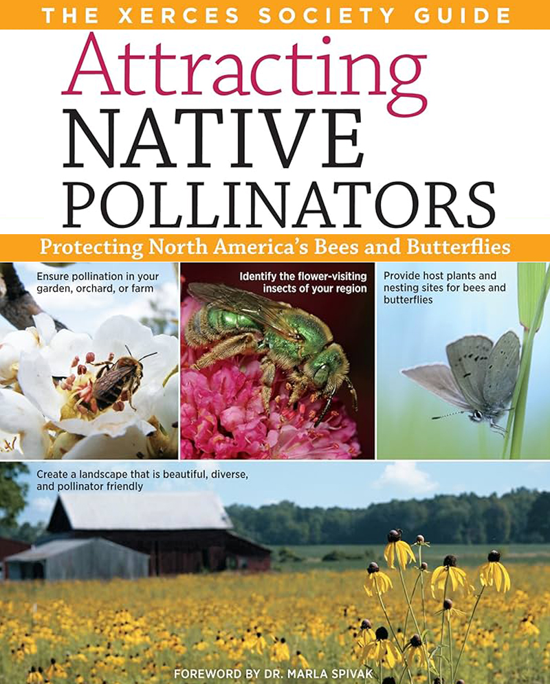 Attracting Native Pollinators