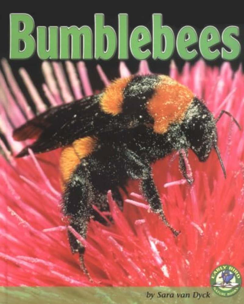 Bumblebees