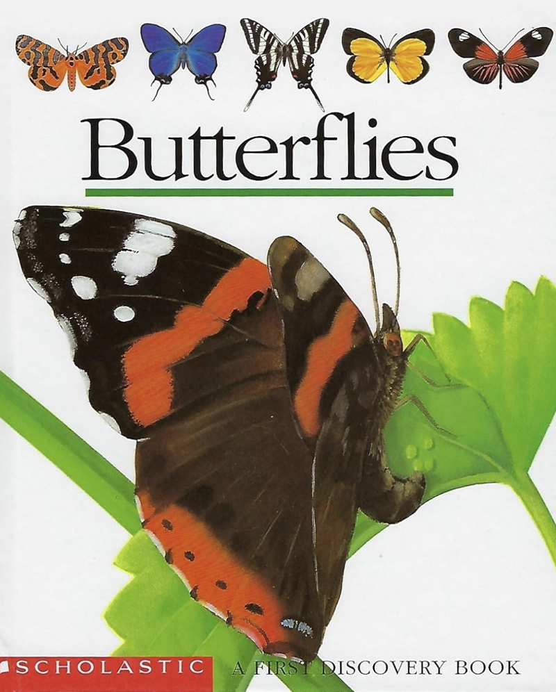 Butterflies